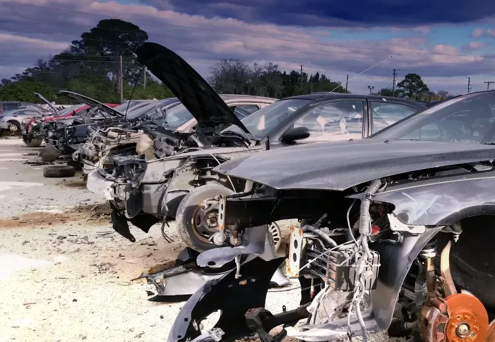Row of damaged and salvaged cars in a recycling yard